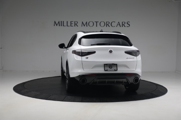 New 2024 Alfa Romeo Stelvio Ti for sale $56,696 at Maserati of Westport in Westport CT 06880 8