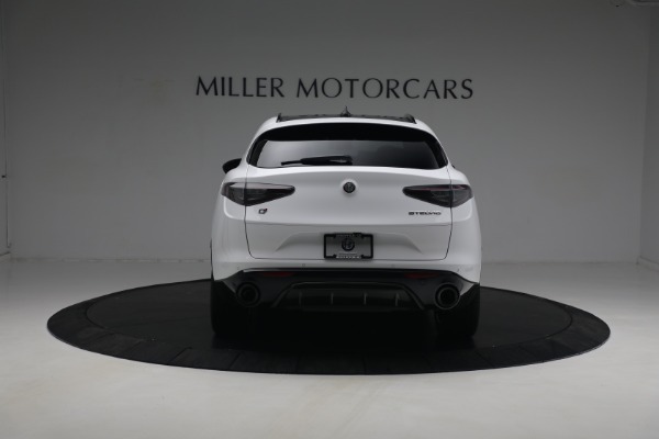 New 2024 Alfa Romeo Stelvio Ti for sale $56,696 at Maserati of Westport in Westport CT 06880 9