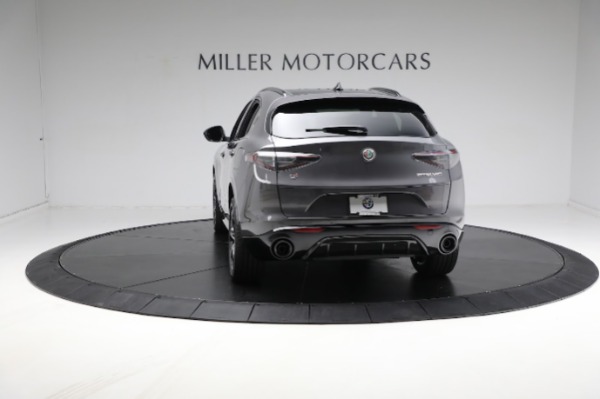 New 2024 Alfa Romeo Stelvio Veloce for sale $58,055 at Maserati of Westport in Westport CT 06880 13