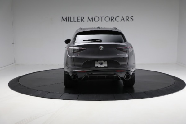 New 2024 Alfa Romeo Stelvio Veloce for sale $58,055 at Maserati of Westport in Westport CT 06880 14